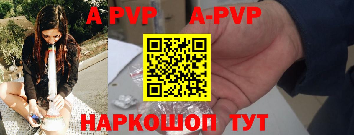 Alfa_PVP СК Котлас