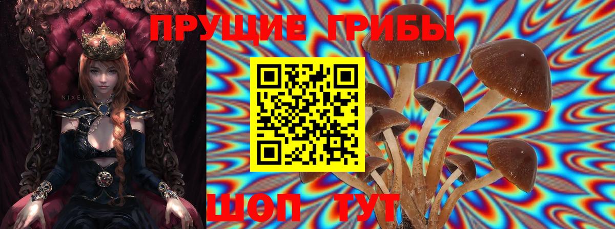 Псилоцибиновые грибы мухоморы Котлас